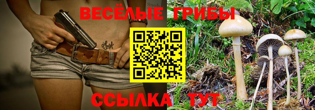 Псилоцибиновые грибы Magic Shrooms  Вход с VPN  что такое наркотик  Великий Новгород 