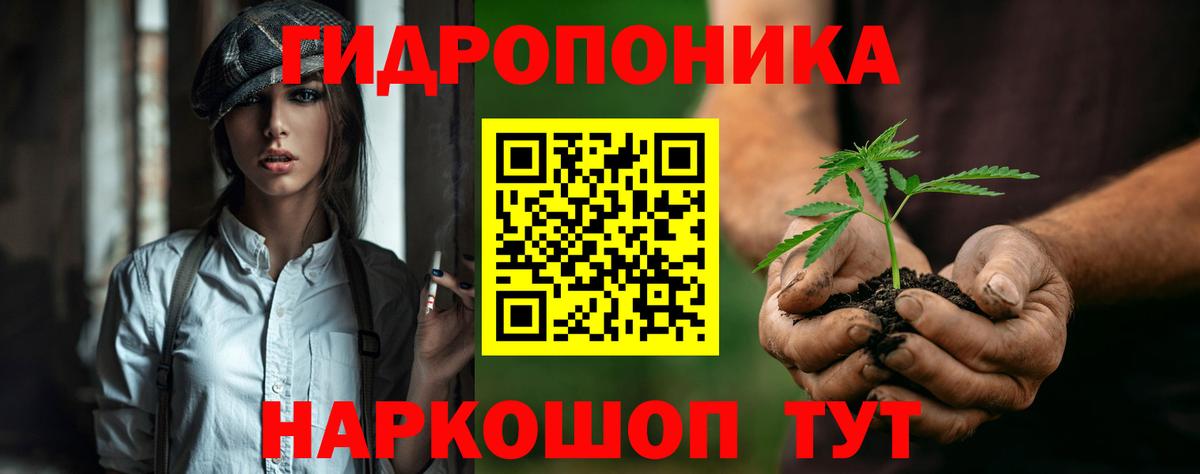 Каннабис индика  Вход с VPN  Бошки Шишки тримм  Великий Новгород  Канабис планчик 